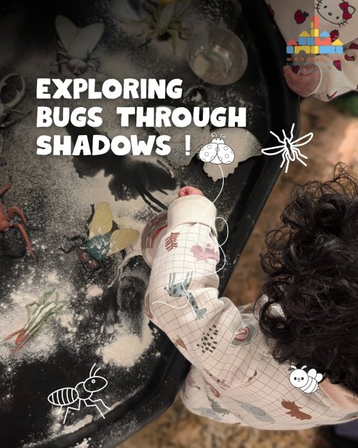 Buzzing little bugs, glowing shadows & curious smiles 🐝🐞
Our Adult & Child program at Wonderland Early Learning Center turns simple play into meaningful learning—where children explore, imagine, and discover together with you.
#welcpitampuraofficial #kidsactivities #adultandchildclasses #shadowplays #preschoolindelhi