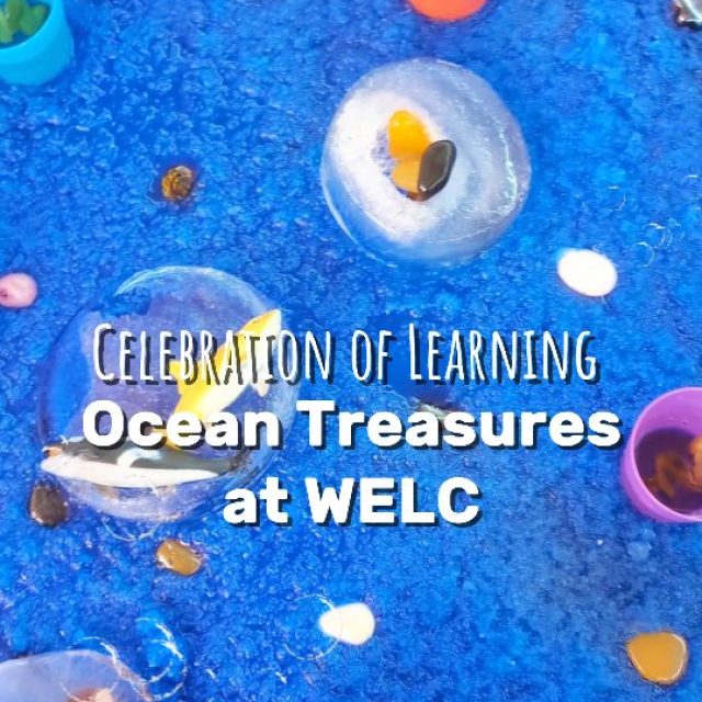 As we conclude our Ocean Treasures adventure, we celebrate the curiosity, creativity, laughter, and learning that filled each day. Now it's time to set sail into a summer filled with sunshine, new adventures, and happy moments with family and friends.
Wishing all our WELC families a joyful, safe, and treasure-filled summer break!
#welcpitampura #welcpitampuraofficial #preschoolactivities #preschoollearning #fyp